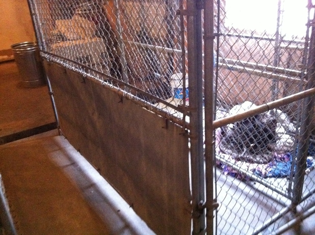 cozycroft pet hospital