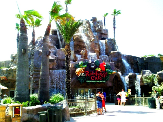 Rainforest Cafe In Galveston Tx 77551 Citysearch
