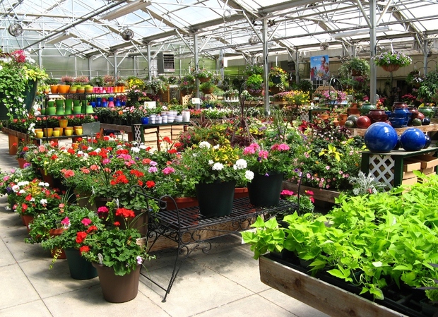 Homewood Nursery Garden Center In Raleigh Nc 27614 Citysearch