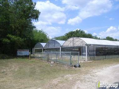 Paul Jensen Nursery In Apopka Fl 32712 Citysearch Paul Jensen Nursery