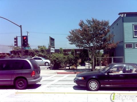 Bellefontaine Nursery In Pasadena Ca 91105 Citysearch