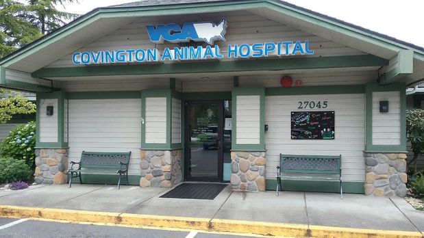 vca covington animal hospital