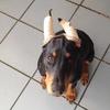 Baldo L.'s profile image